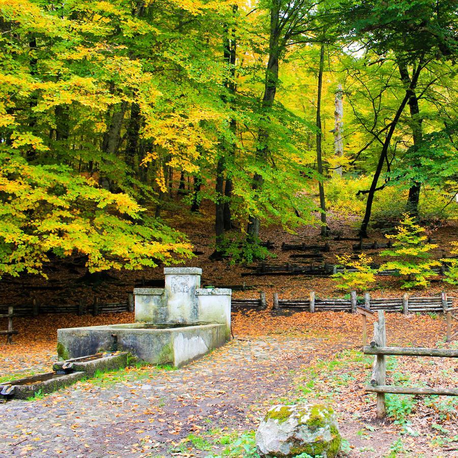 La Valle Di Vico Casa di campagna *